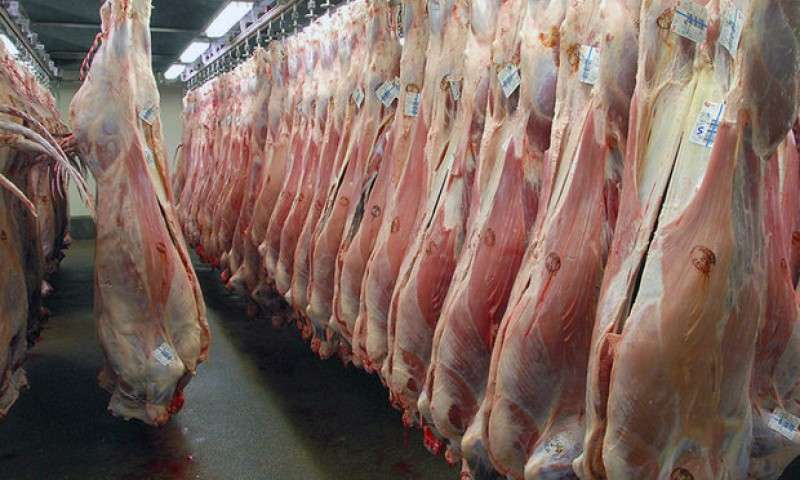 توزیع گوشت استرالیایی در بازار