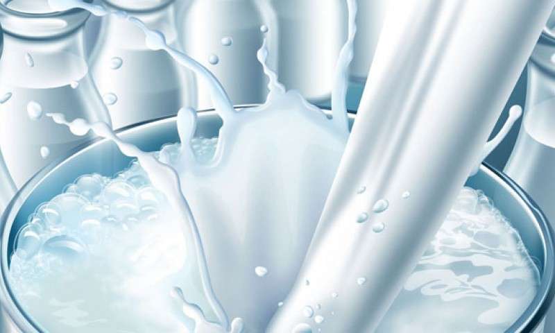افزایش تولید شیر خام در بازار +عکس