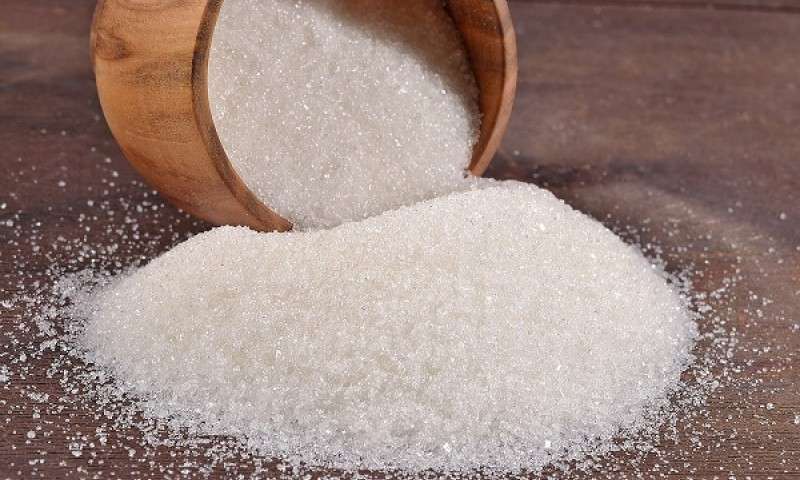 افزایش تولید شکر در ایران+عکس