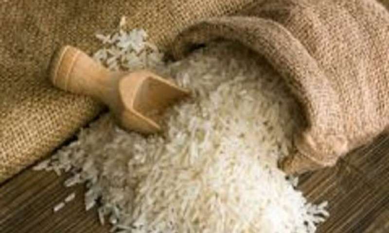واردات برنج نامرغوب و فراموشی طلای سفید ایرانی