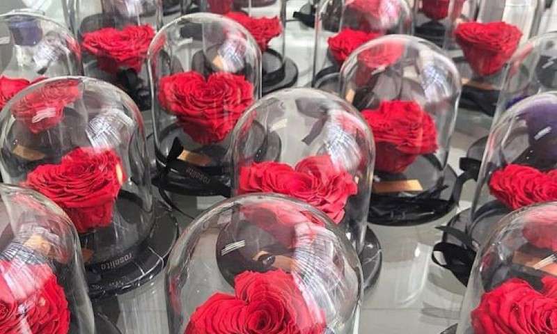 فروش گل رز ۱۵۰ هزار تومانی در تهران! +عکس