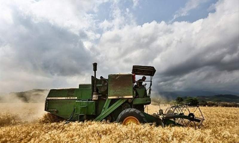 بی رغبتی کشاورزان به خرید بذر اصلاح شده مهم ترین شاخص کاهش تولید گندم